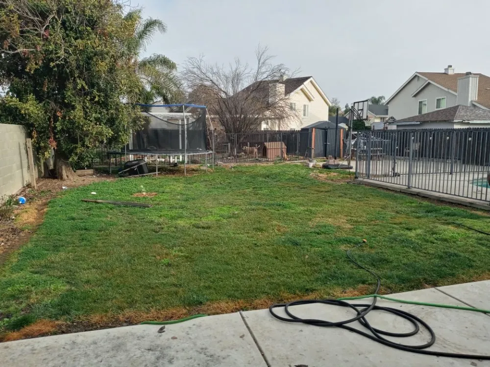 Reliable yard maintenance experts serving Sacramento, CA - At The Handyman
