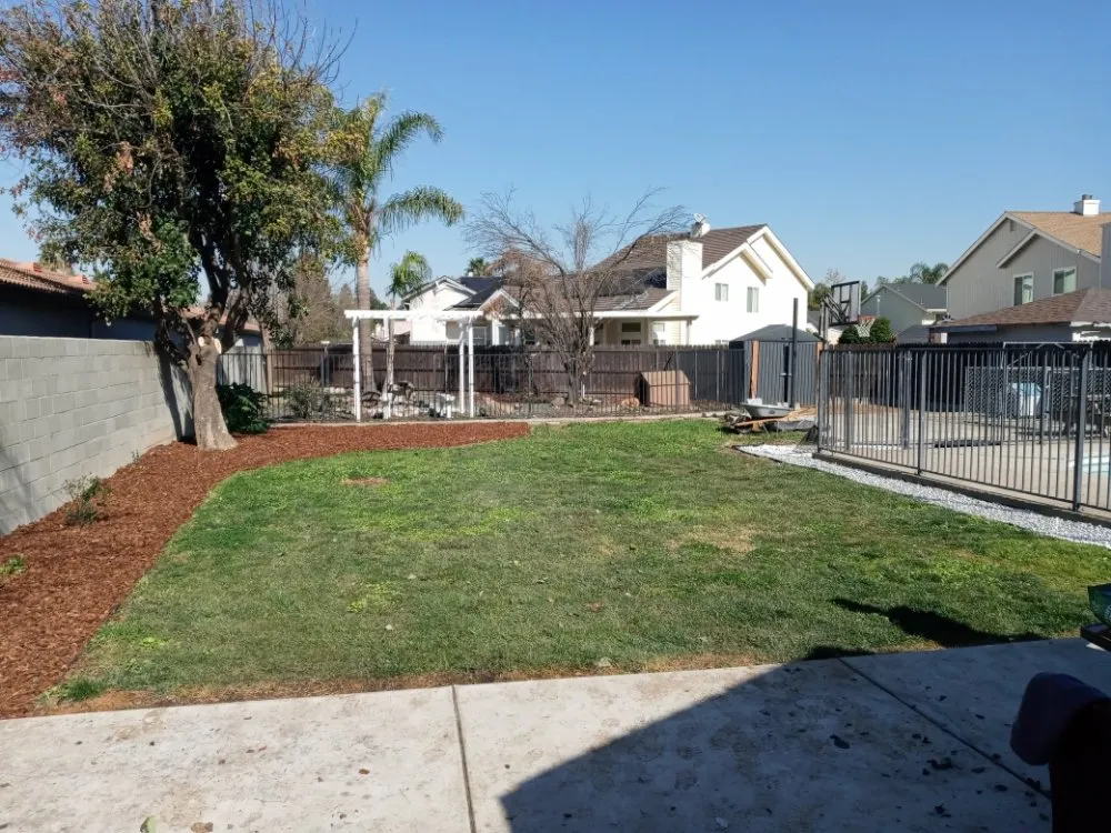 Expert yard cleanup service in Sacramento, CA by At The Handyman