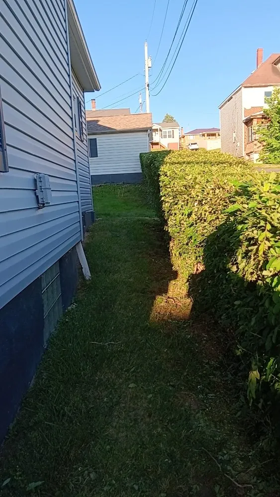 Trusted yard cleanup service experts serving Eighty Four, PA - At Your Door Chores