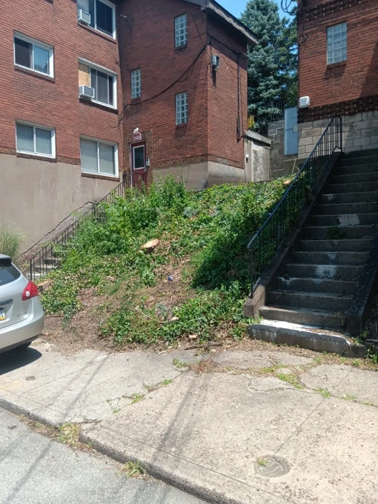 Reliable landscape installation in Eighty Four, PA by At Your Door Chores
