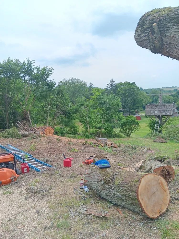 Expert residential landscaping experts serving Eighty Four, PA - At Your Door Chores