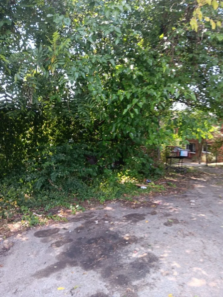 Local landscape design for year-round maintenance across Eighty Four, PA - At Your Door Chores