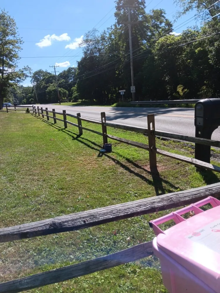 Local yard cleanup service in Eighty Four, PA by At Your Door Chores