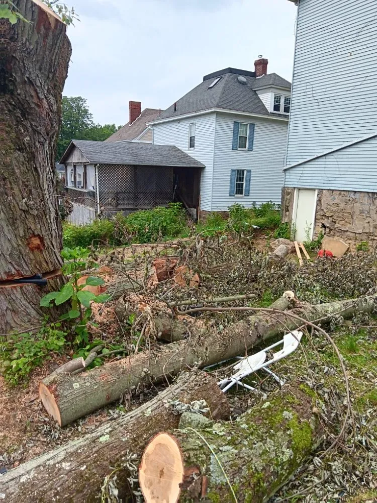 Trusted lawn care service experts serving Eighty Four, PA - At Your Door Chores