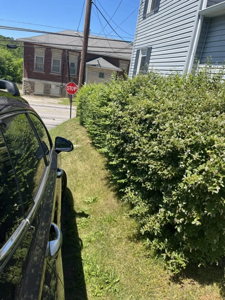 Local landscape design in Eighty Four, PA - At Your Door Chores