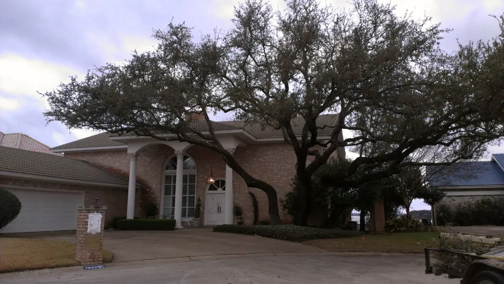 Reliable landscape installation experts serving Fort Worth, TX - At Your Request Landscaping and Tree Service