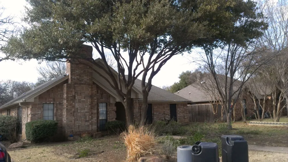 Affordable landscaping services for year-round maintenance in Fort Worth, TX by At Your Request Landscaping and Tree Service