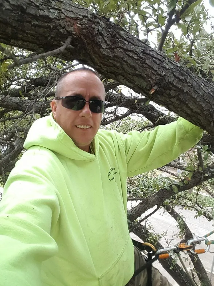 Custom landscape installation near you across Fort Worth, TX - At Your Request Landscaping and Tree Service