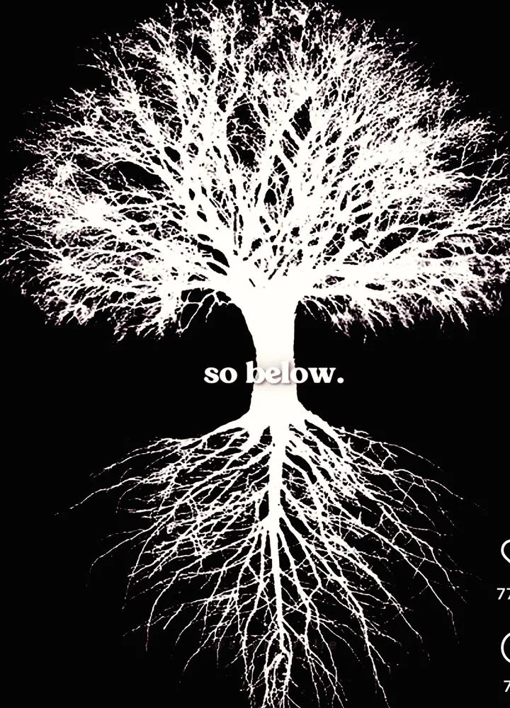 Top-rated yard cleanup service for beautiful yards across Colonial Heights, VA - At Your Service