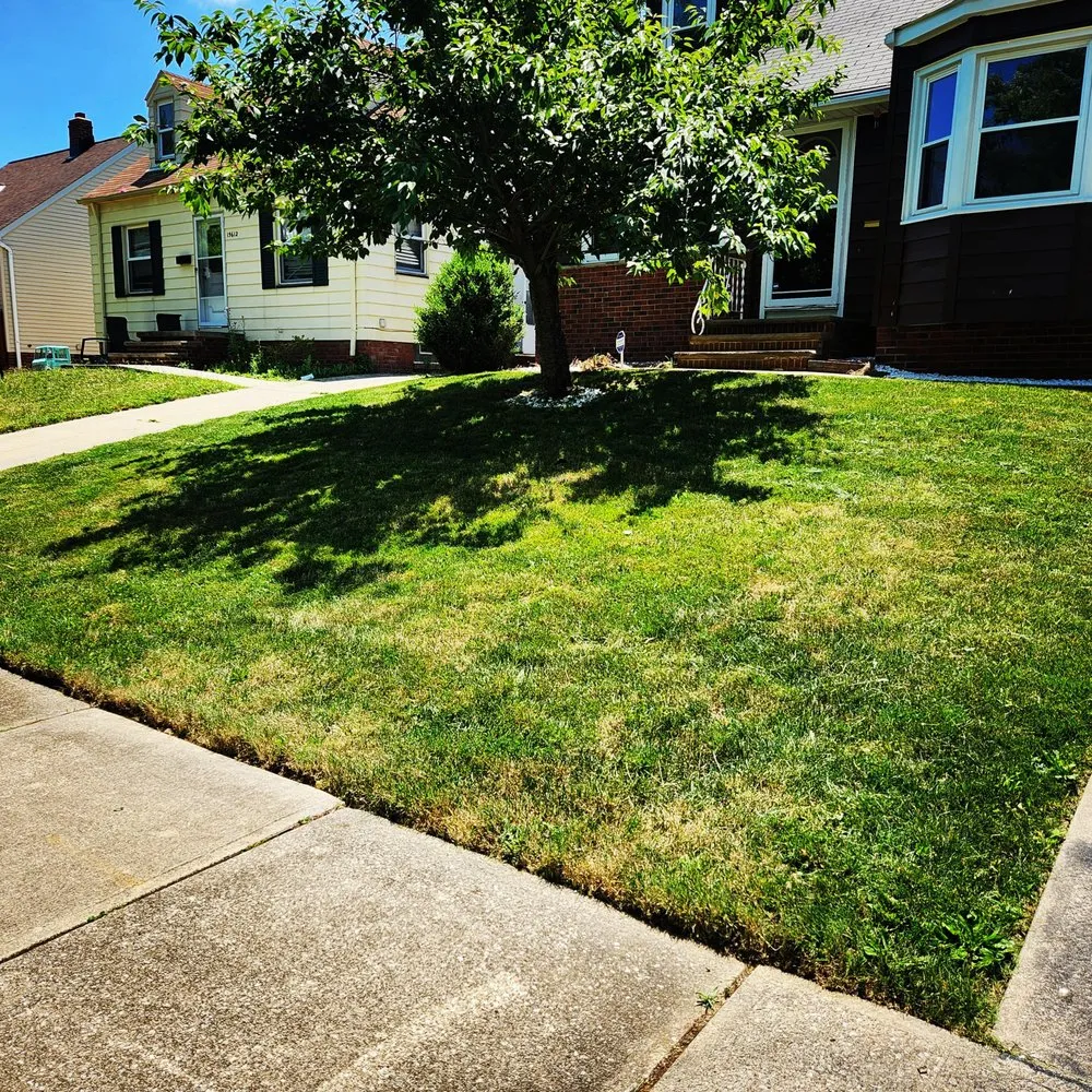 Reliable yard cleanup service in Cleveland, OH by At Your Service Landscaping