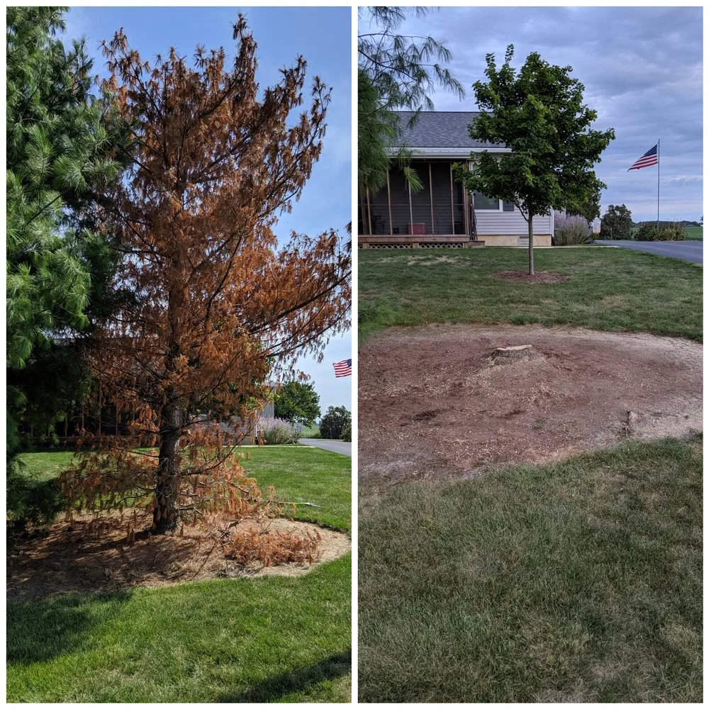 Reliable yard cleanup service for year-round maintenance in Mt Victory, OH by At Your Service Landscaping