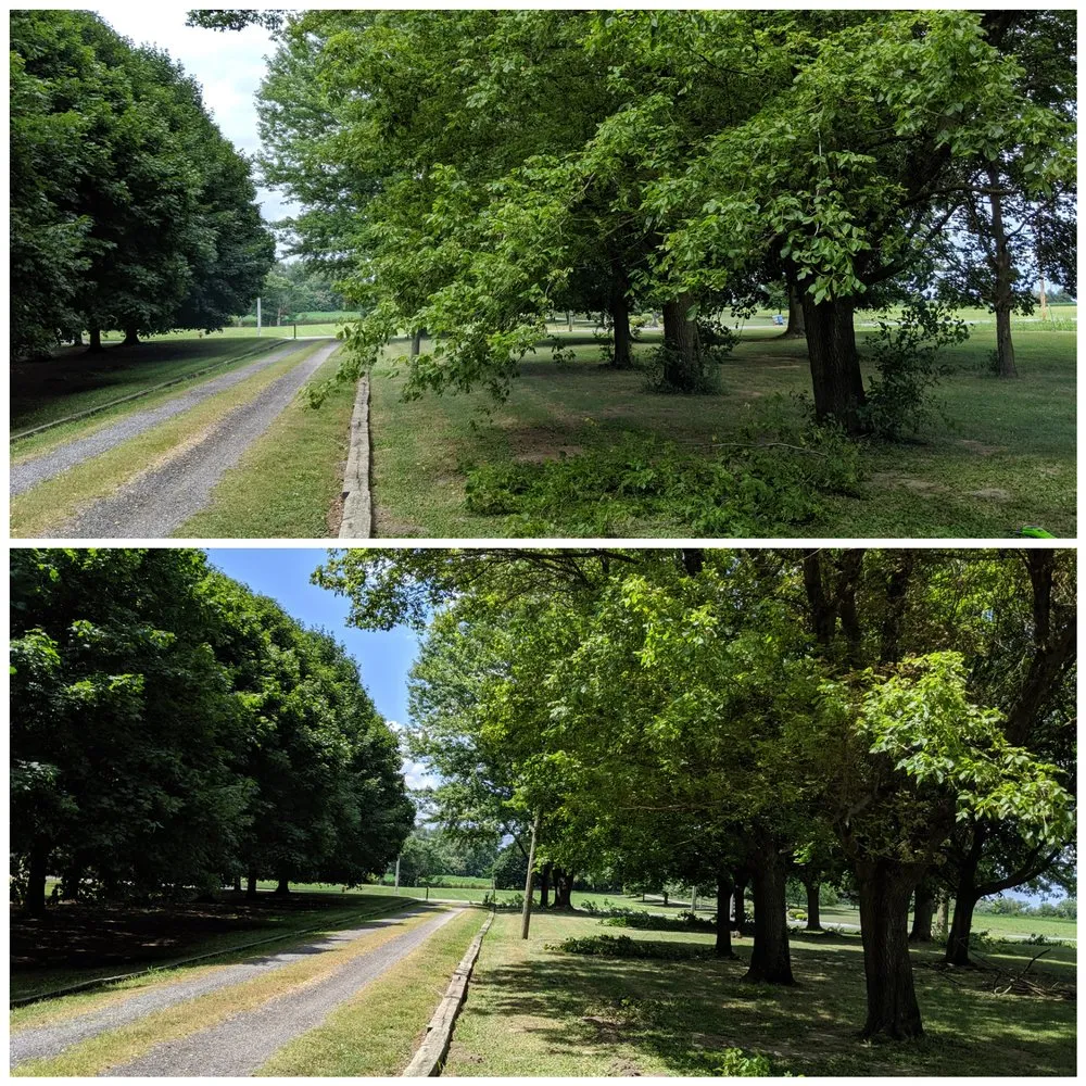 Expert yard maintenance for residential properties in Mt Victory, OH by At Your Service Landscaping