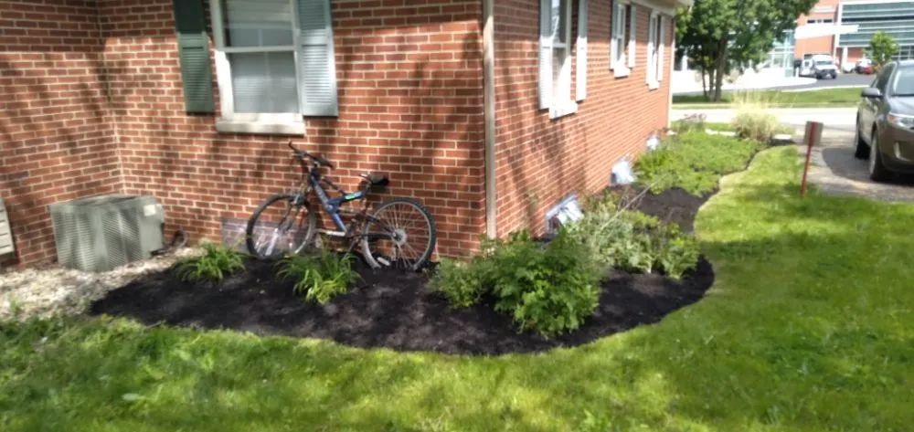 Affordable yard cleanup service in Mt Victory, OH - At Your Service Landscaping