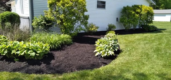At Your Service Landscaping