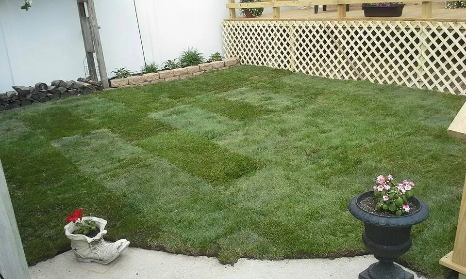 Top-rated landscape installation for beautiful yards in Oak Forest, IL by At Your Service Landscaping