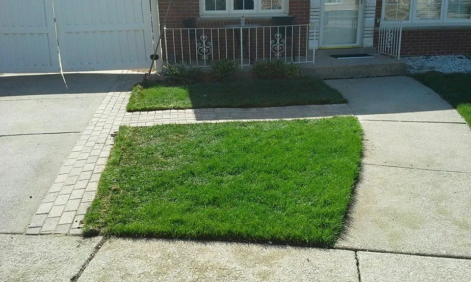 Professional landscape installation for year-round maintenance in Oak Forest, IL by At Your Service Landscaping