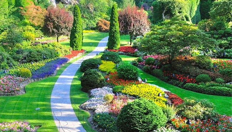 Professional landscape design near you in Fort Worth, TX by At Your Service Lawn Care