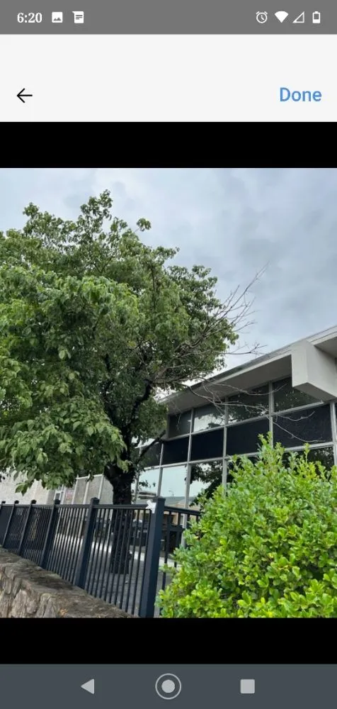 Reliable landscape design in Benton, KY - At Your Service Tree and Lawn Care