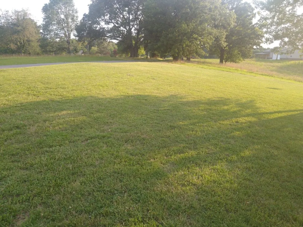 Top-rated yard cleanup service in Benton, KY - At Your Service Tree and Lawn Care