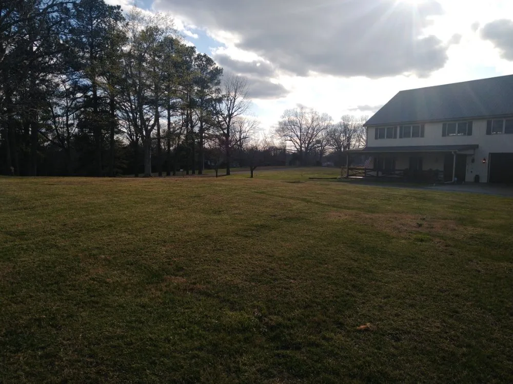 Professional outdoor landscaping in Benton, KY - At Your Service Tree and Lawn Care