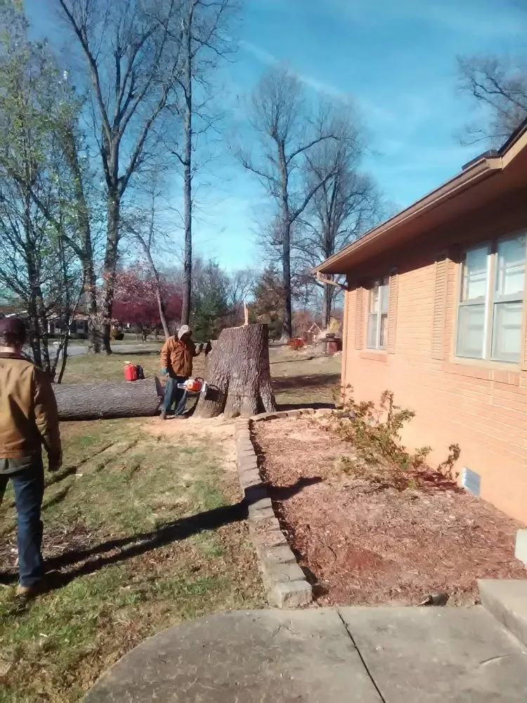 Trusted yard cleanup service experts serving Benton, KY - At Your Service Tree and Lawn Care