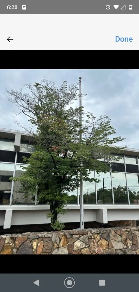 Reliable outdoor landscaping in Benton, KY - At Your Service Tree and Lawn Care