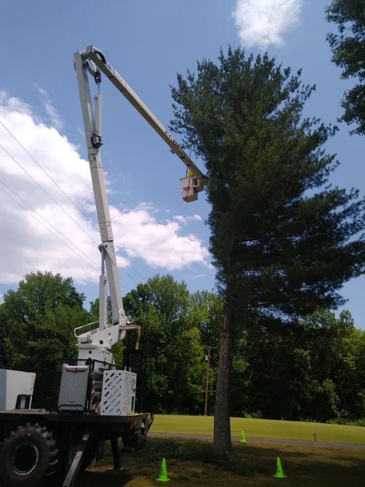 Local yard maintenance for homes across Benton, KY - At Your Service Tree and Lawn Care