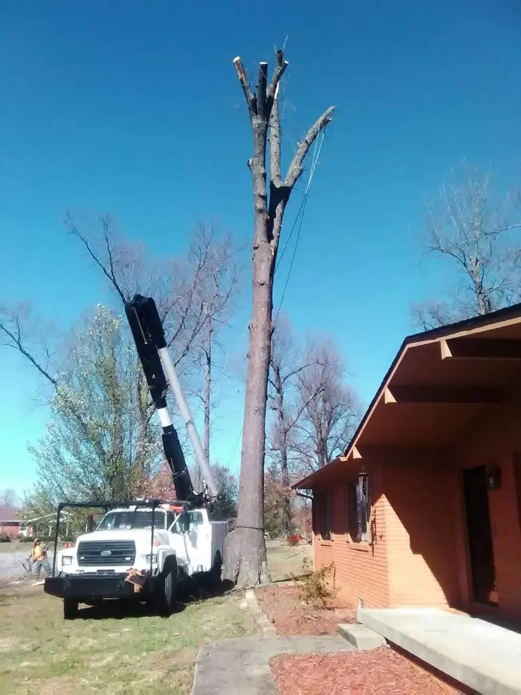 Top-rated garden landscaping in Benton, KY by At Your Service Tree and Lawn Care