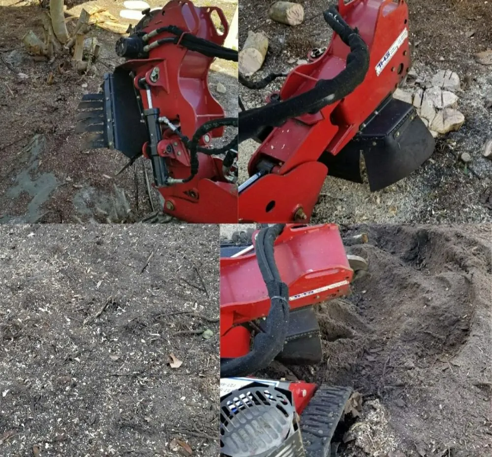 Top-rated garden landscaping experts serving Palm Harbor, FL - At Your Tree Service