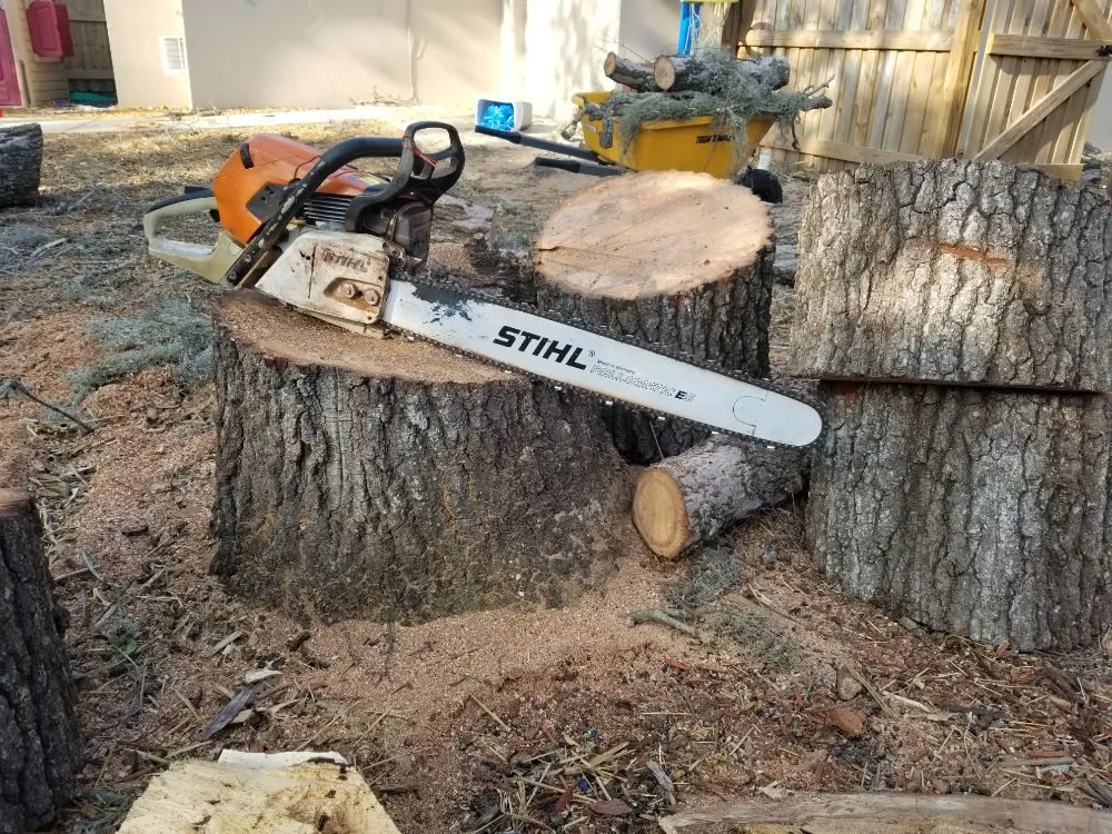 Reliable landscaping services for homes across Palm Harbor, FL - At Your Tree Service