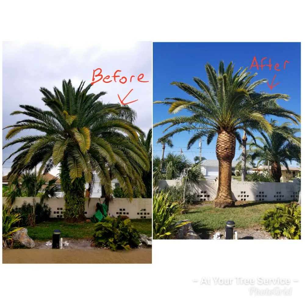 Top-rated landscape design experts serving Palm Harbor, FL - At Your Tree Service