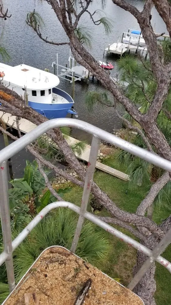 Top-rated residential landscaping experts serving Palm Harbor, FL - At Your Tree Service