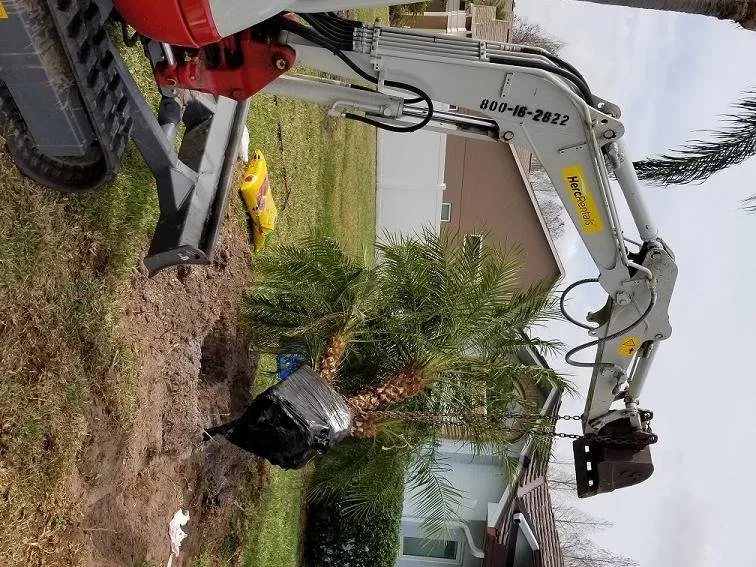 Expert yard cleanup service in Palm Harbor, FL by At Your Tree Service