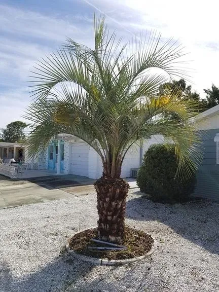 Expert garden landscaping for homes in Palm Harbor, FL by At Your Tree Service