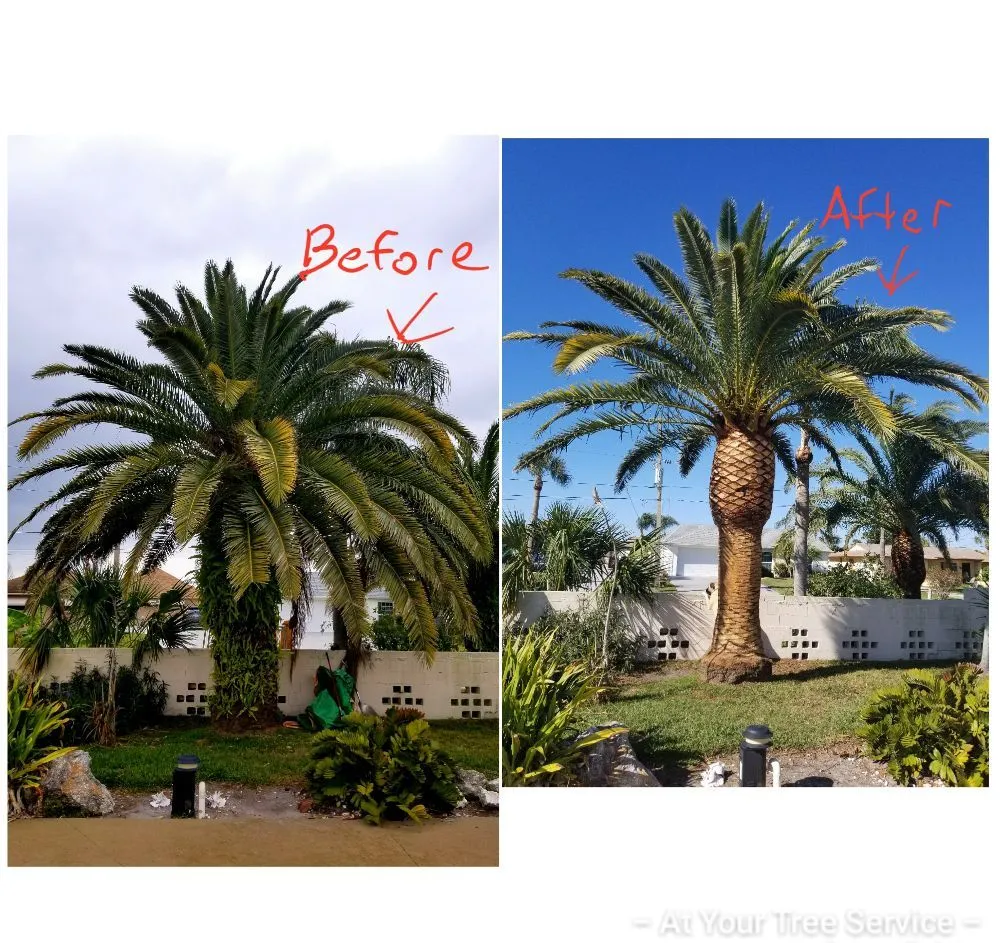 Expert garden landscaping in Palm Harbor, FL - At Your Tree Service