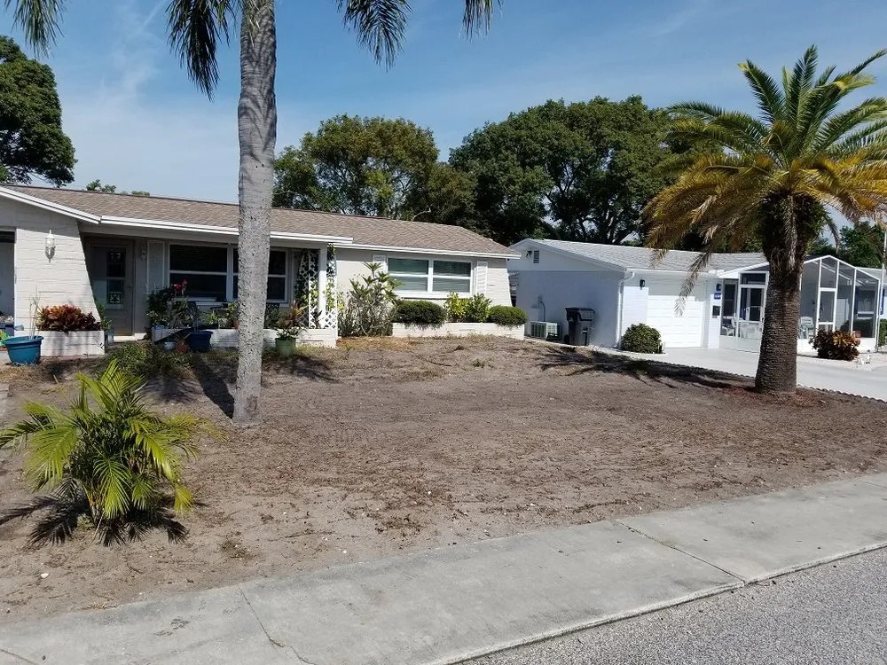 Top-rated outdoor landscaping experts serving Palm Harbor, FL - At Your Tree Service