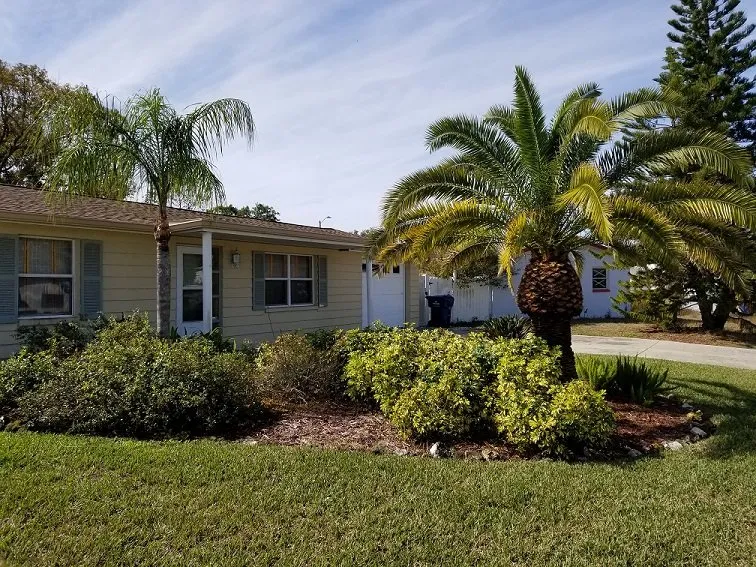 Reliable landscape design in Palm Harbor, FL by At Your Tree Service