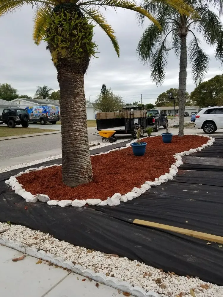 Professional residential landscaping in Palm Harbor, FL - At Your Tree Service