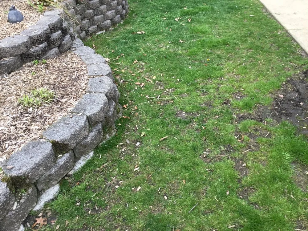 Top-rated yard cleanup service for beautiful yards across Berlin, NJ - ATA Lawn & Landscape