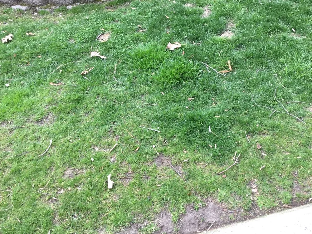 Expert garden landscaping for homes in Berlin, NJ by ATA Lawn & Landscape