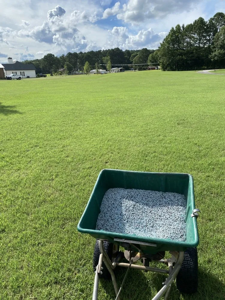 Affordable landscape installation in Monroe, GA - ATA Turf care