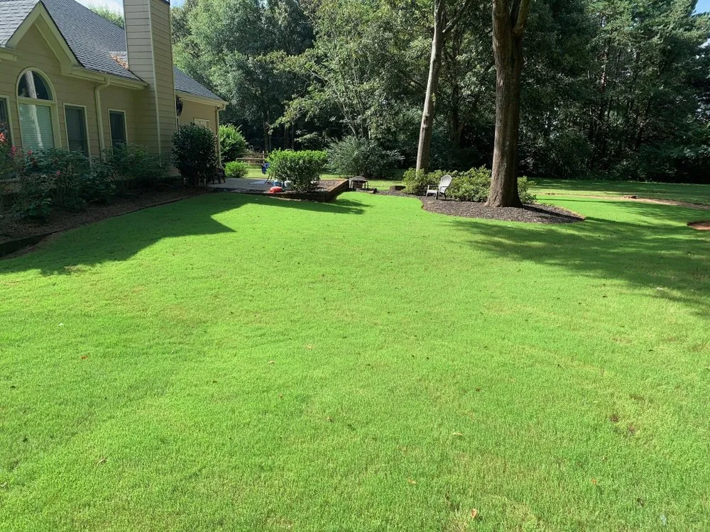 Trusted yard maintenance experts serving Monroe, GA - ATA Turf care