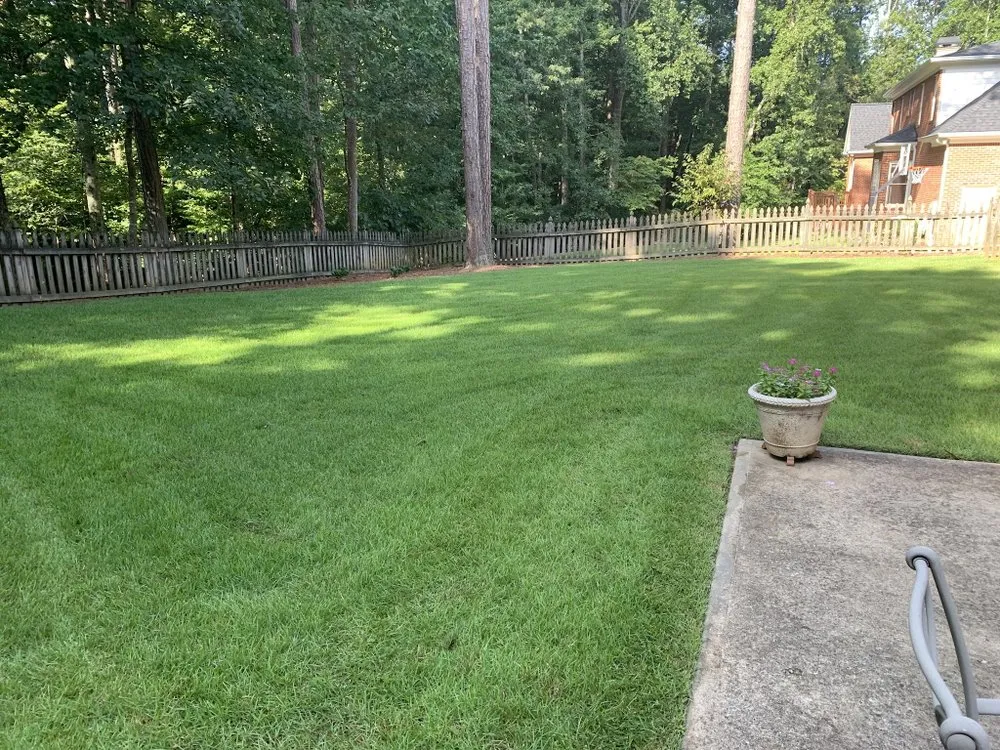 Professional landscape installation with custom design across Monroe, GA - ATA Turf care