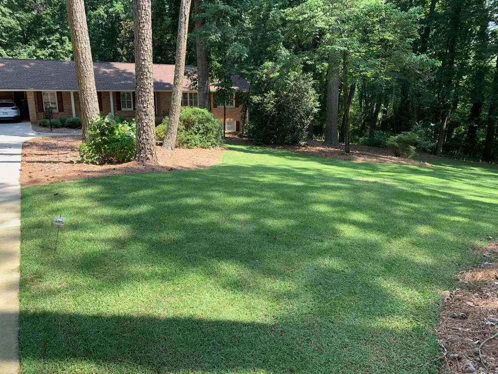 Trusted landscaping services for outdoor upgrades across Monroe, GA - ATA Turf care