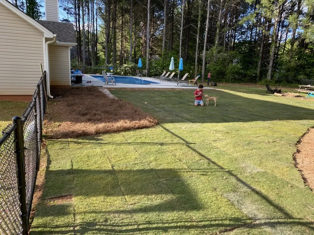 Expert lawn care service in Monroe, GA by ATA Turf care