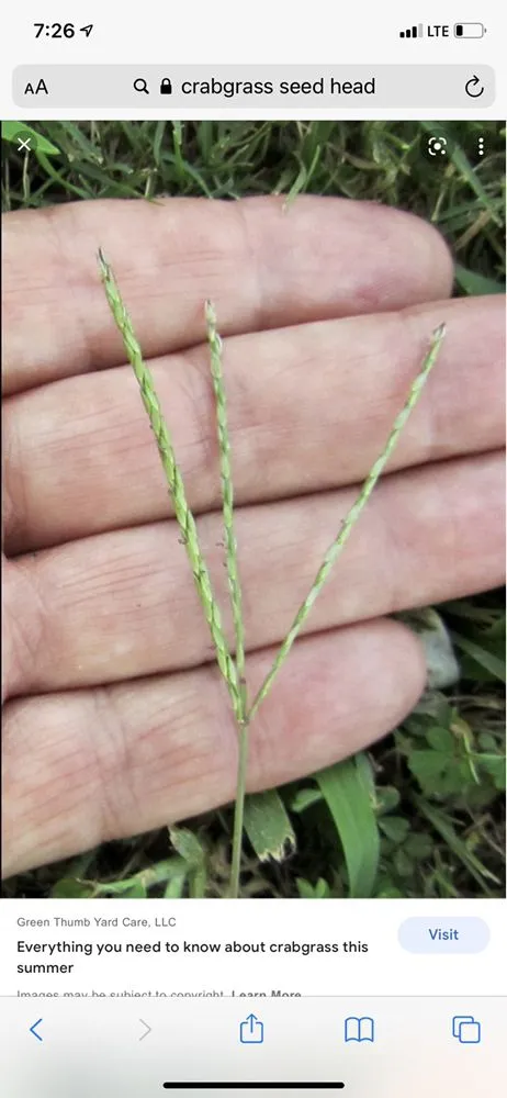 Expert landscaping services in Monroe, GA - ATA Turf care