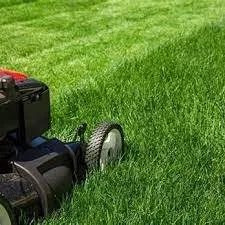 Top-rated landscape installation in Jacksonville, FL - Atarah's Property Management and Landscaping