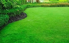Professional lawn care service for year-round maintenance in Jacksonville, FL by Atarah's Property Management and Landscaping