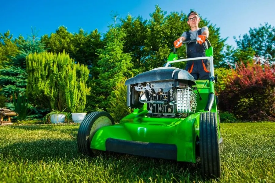 Affordable yard cleanup service experts serving Atascocita, TX - Atascocita Landscapers