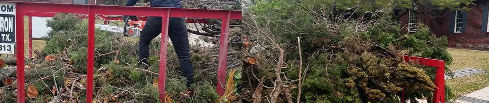 Custom landscaping services in Cedar Park, TX - A.T.C. Affordable Tree Care & Landscaping Design All in One